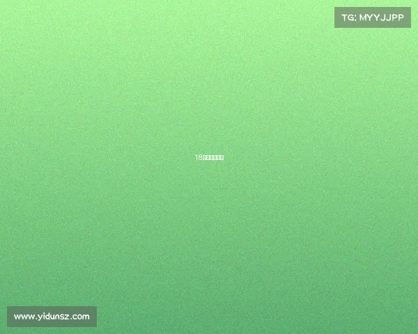 18年辽宁队阵容